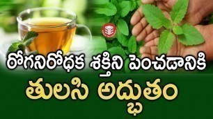 'అద్భుత ఔషధ గుణాల తులసి | Amazing Health Benefits of Basil (Tulasi) | Eagle Telangana'