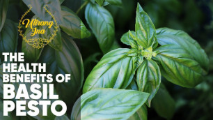'✨The Health Benefits of Basil Pesto | Home Garden | Healthy Tips'