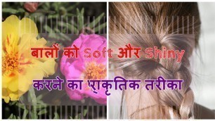 '#Ayurveda #DIY #HairCare बालों को Naturally Soft और Shiny बनाने का तरीका'