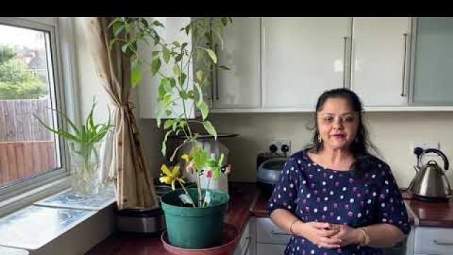 'HAPPY INDEPENDENCE DAY | HOW TO GROW TULSI PLANT AT HOME | HOLY BASIL | MANY HEALTH BENEFITS'