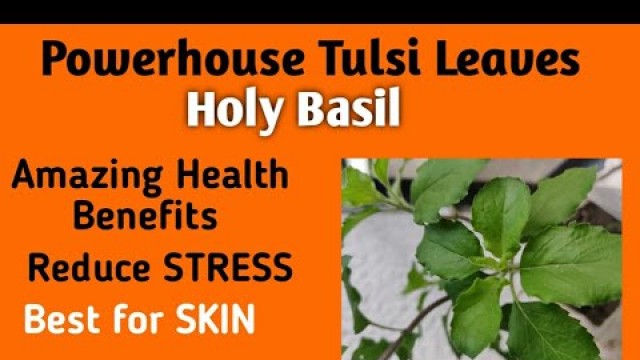 'Healthy Benefits of TULSI Leaves (Holy Basil) & Reduce STRESS with Skin Glow'