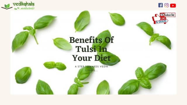 'Holy Basil Tea | Drink To Reduce Stress & Anxiety - Health Benefits | Benefit of Basil In Your Diet'