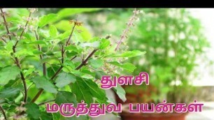 'துளசியின் மருத்துவ பயன்கள் | Medicinal Benefits of Tulasi | Basil Benefits'