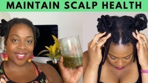 'How to Have a Healthy Scalp| Natural Hair and Ayurvedic Hair Care'