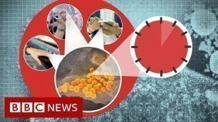 'Coronavirus: More myths to ignore - BBC News'