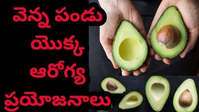 'వెన్న పండు యొక్క ఆరోగ్య ప్రయోజనాలు | Health Benefits of Avocado in Telugu | Mana Ayurvedam'