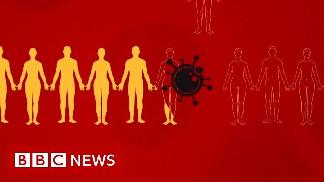 'Coronavirus: What is social distancing? - BBC News'