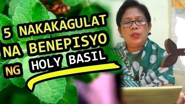 'DAHON NG HOLY BASIL BENEFITS TAGALOG - BENEPISYO NG HOLY BASIL SA UBO, SIPON, PLEMA AT TRANGKASO'