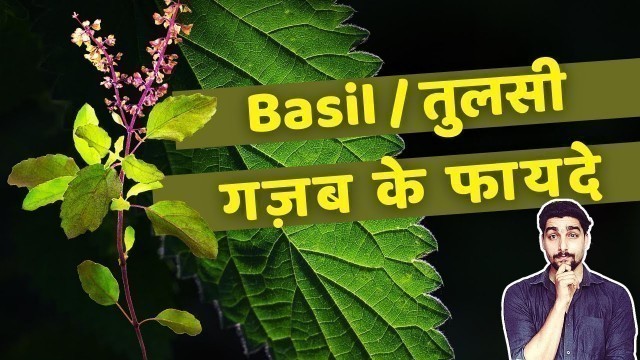 'Basil | तुलसी | Amazing Health Benefits | ShapeUp India'