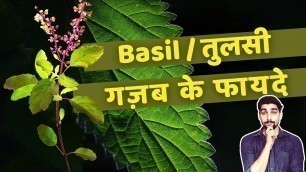 'Basil | तुलसी | Amazing Health Benefits | ShapeUp India'