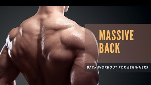 'Top 5 Back Workouts for beginners || massive back workout ||'