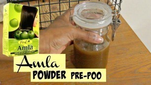 'Amla Natural Hair Regimen | Ayurveda Pre-Poo'