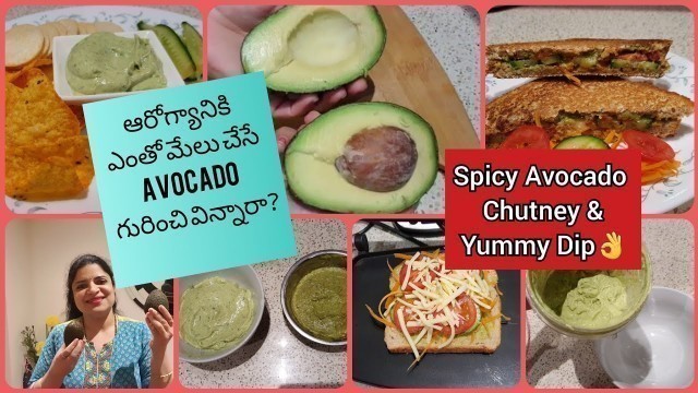 'Health Benefits of Avocado/Spicy Chutney, Avocado Dip Recipes/ఆరోగ్యానికి Avocado ఇలా try చెయ్యండి