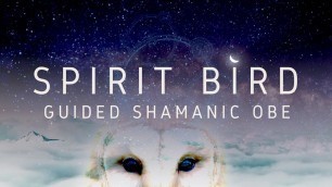 Guided Meditation for Astral Projection // Shamanic OBE // Spirit Bird