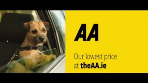 AA Car Insurance - Our lowest price online, guaranteed