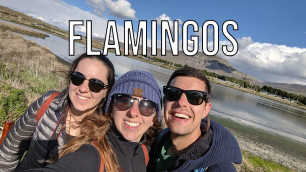 First Days in Argentina Patagonia Road Trip | Ep. 28