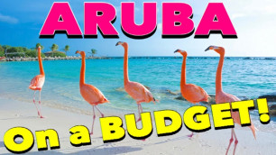 How to Visit ARUBA on a BUDGET!