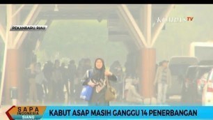 Kabut Asap Ganggu 14 Penerbangan di Pekanbaru, Penumpang Beralih ke Jasa Travel