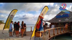 Some of the first visitors in Aruba again in 2020! 