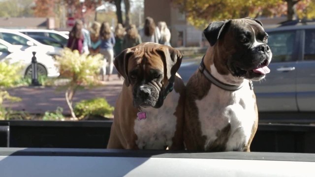 Bentonville City Guide