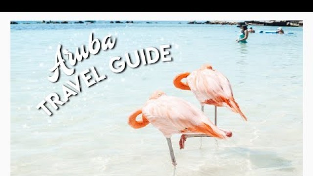 ARUBA TRAVEL GUIDE | WHAT TO DO IN ARUBA | 6 DAYS IN ARUBA TRAVEL VLOG| RENAISSANCE FLAMINGO ISLAND