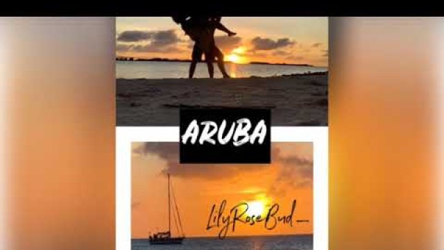 Aruba Travel Blog : Lily Rose Bud