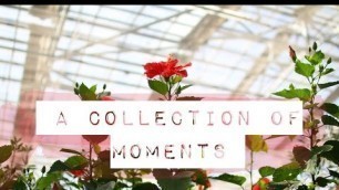 'A Collection of Moments | The Fashion Citizen'