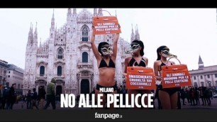 'Milano fashion week: sit in della Peta in piazza Duomo contro le pellicce'