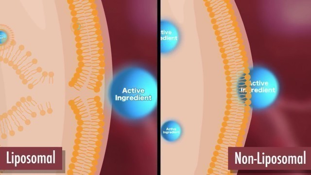 'Liposomal Demonstration Video'