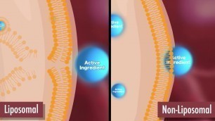 'Liposomal Demonstration Video'