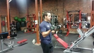 'Dumbbell Bicep Curl - 360 Fitness Exercise Demo'