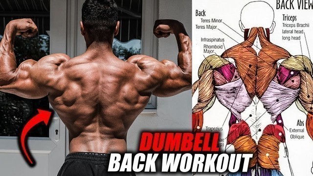 'BEST DUMBELLS BACK WORKOUT 