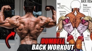 'BEST DUMBELLS BACK WORKOUT 