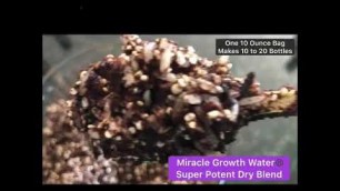 'Miracle Growth Water aka ENHANCED RICE WATER IS BACK AND BETTER THAN EVER'