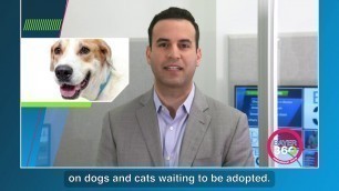 'Bayer 360: Adopt-a-Pet Collaboration'