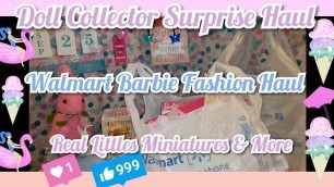 'Doll Collector Surprise Walmart Haul Barbie Fashion Packs Real littles Harajuku'