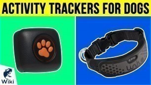 '8 Best Activity Trackers For Dogs 2019'