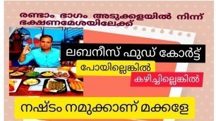 'ഇവിടെ  ഭക്ഷണം കഴിക്കാൻ കയറിക്കോ  ഞാൻ ഗ്യാരണ്ടി/ Lebanese food court /food travel with anish George'