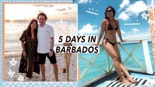 '5 Days in Barbados with a Michelin Chef | Caribbean Food Travel Vlog'