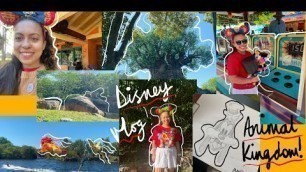 'FLORIDA VLOG 2:  Orlando, Disney’s Animal kingdom Vlog! Disneyland, Food, Travel, Safari, Mustang'