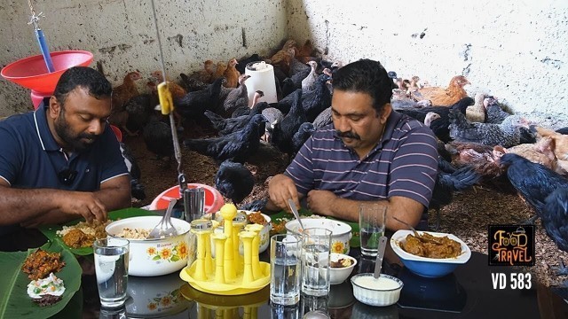 'കരിങ്കോഴി രാജാവ് ചട്ടിയിലായപ്പോ | Black Meat Chicken or Karinkozhi | Kadaknath Chicken Farm'