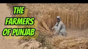 'THE FARMERS WHO WORK IN 40 DEGREES HEAT |  PAKISTAN | FOOD AND TRAVEL VLOG | FOOD TROLL'