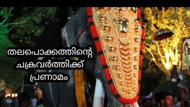 'ആനപ്രേമികളുടെ സ്വന്തം കർണാപ്പി | Mangalamkunnu Karnan | Tribute to Karnan | Food Travel Tips'