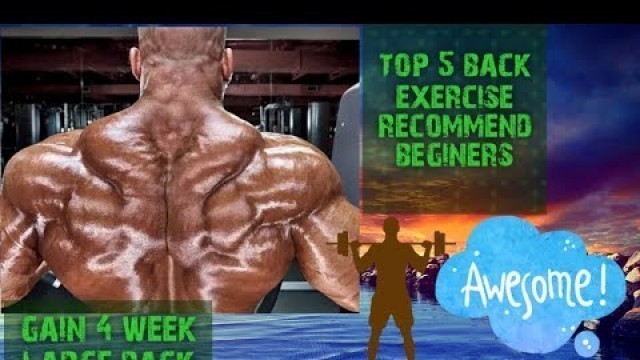 'Back workout 