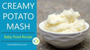 'Potato Mash for Babies | Weight Gaining 8 months Baby Food Recipe'