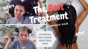 'Cassia Obovata Treatment| Improve Growth & Strengthen Hair| Ayurvedic Hair Care'