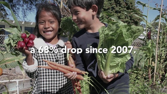 'LACDPH report: RBUSD, BCHD partnership contributed to childhood obesity decline from 20% to 6.4%'